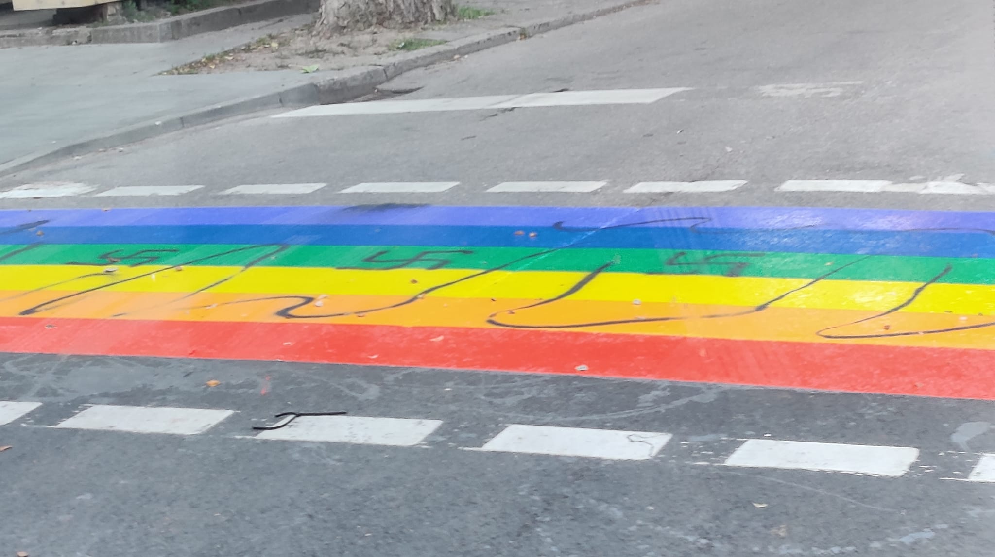 Perėja // Nuotr. iš Facebook puslapio Reidas