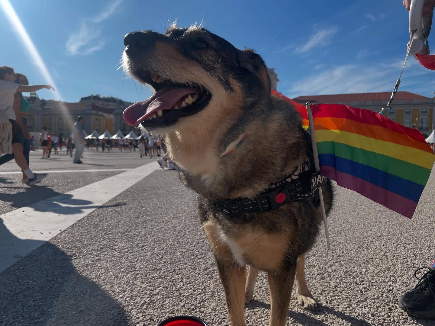 EuroPride Lisabonoje // Nuotr. dezanove / Facebook