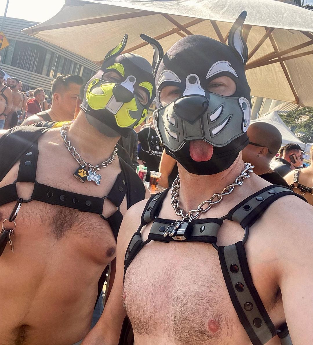 Festivalis off sunset