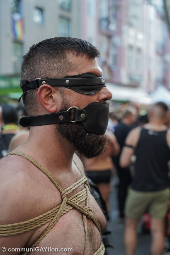 Nuotr. www.queer.de