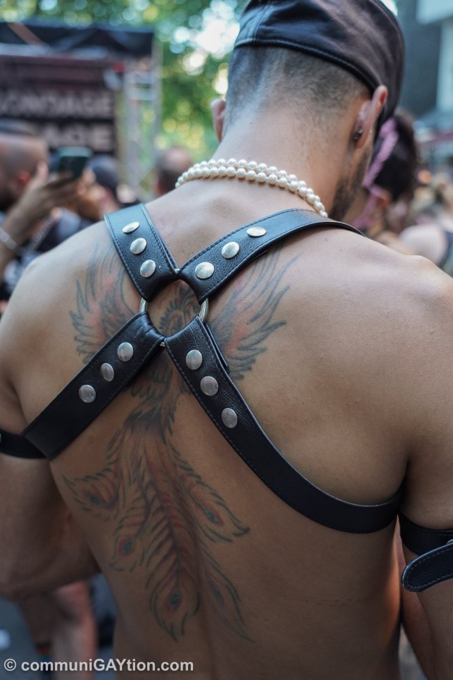Nuotr. www.queer.de