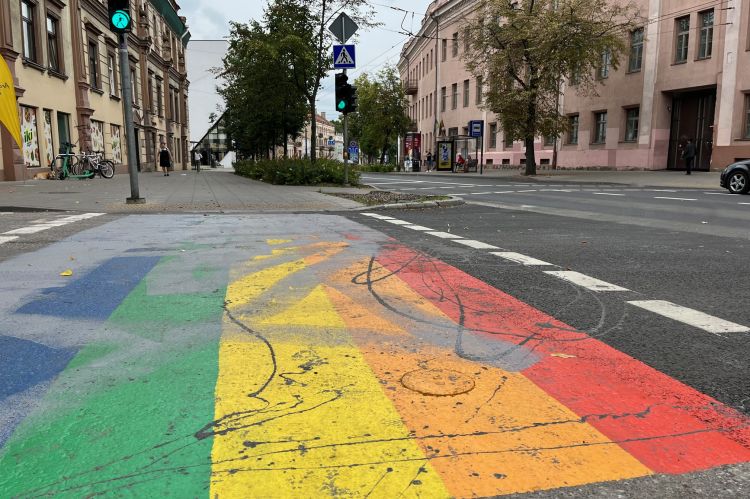 Vaivorykštės perėja // Nuotr. Martyno Norbuto