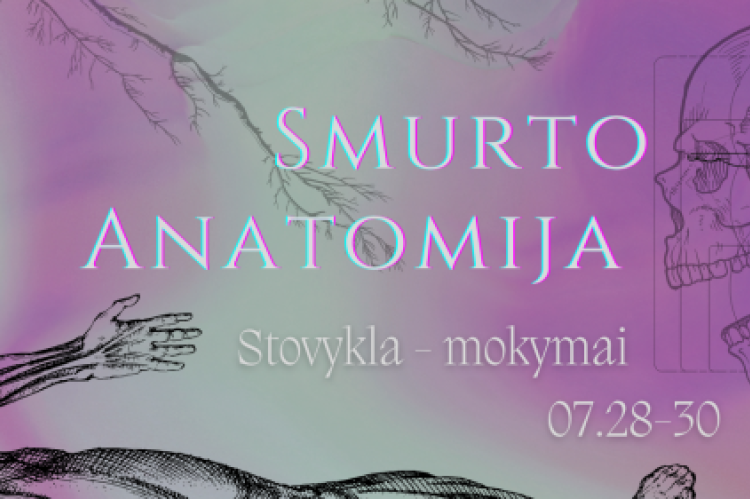 Stovykla "Smurto Anatomija"