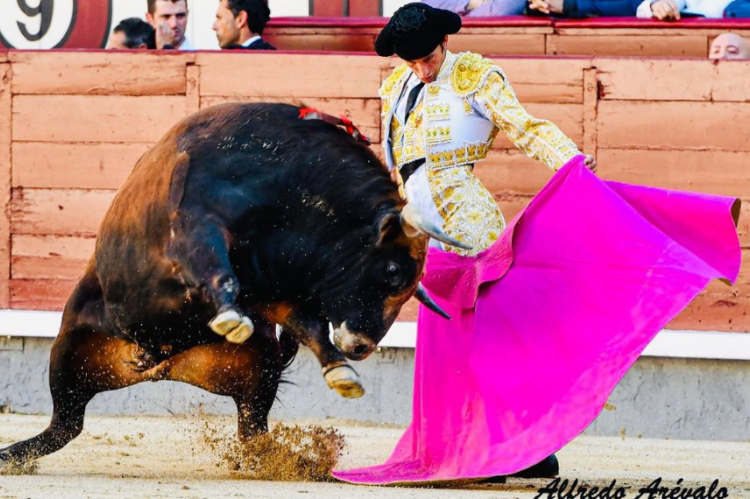 Mario Alcalde // Nuotr. iš marioalcaldetorero Instagram paskyros