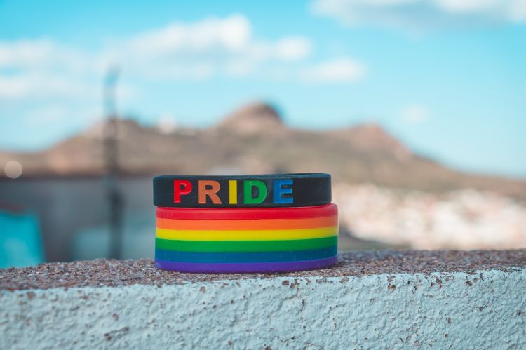 Pride // Nuotr. Eduardo Pastor