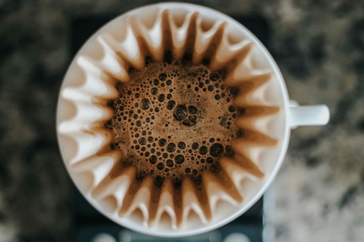 Kava // Nuotr. Devin Avery