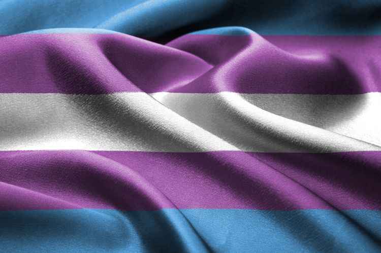 Trans vėliava // Nuotr. Lena Balk