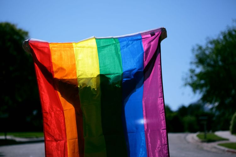 Pride // Nuotr. Shane