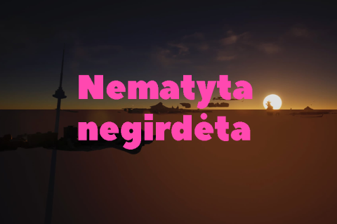 Nematyta negirdėta