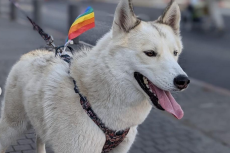 Jerusalem Pride // Nuotr. @israelinthailand