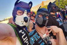 Pup Astra